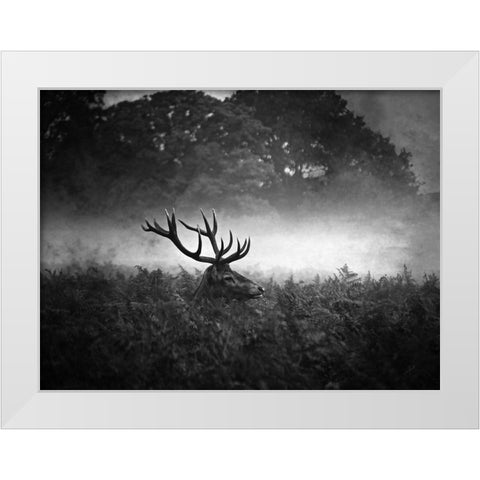 Prince White Modern Wood Framed Art Print by Fabrowski, Robert