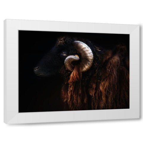 Ram portrait White Modern Wood Framed Art Print by Pascual Buye, Santiago