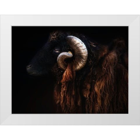 Ram portrait White Modern Wood Framed Art Print by Pascual Buye, Santiago