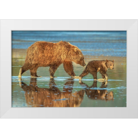 Heading for home White Modern Wood Framed Art Print by Sink, Jeffrey C
