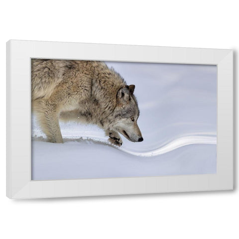 Approaching White Modern Wood Framed Art Print by Zuo, Jun