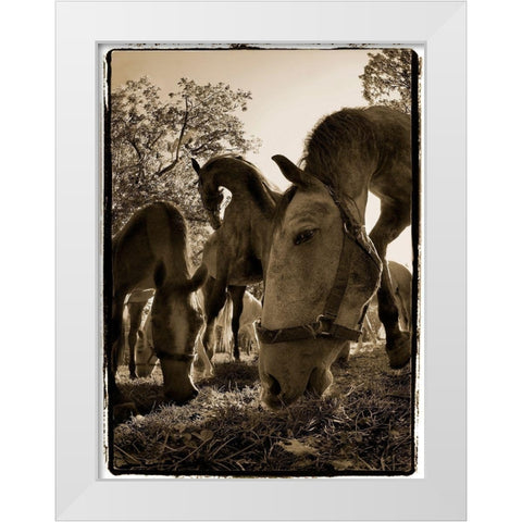 Chow Time White Modern Wood Framed Art Print by Malovrh, Milan