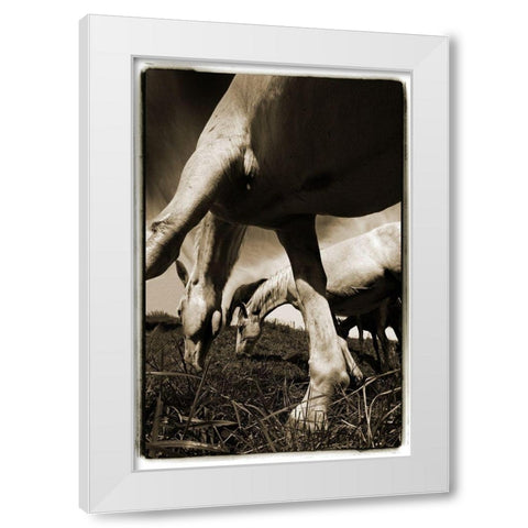 Promenade 2 White Modern Wood Framed Art Print by Malovrh, Milan