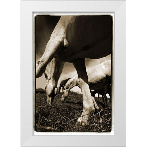 Promenade 2 White Modern Wood Framed Art Print by Malovrh, Milan