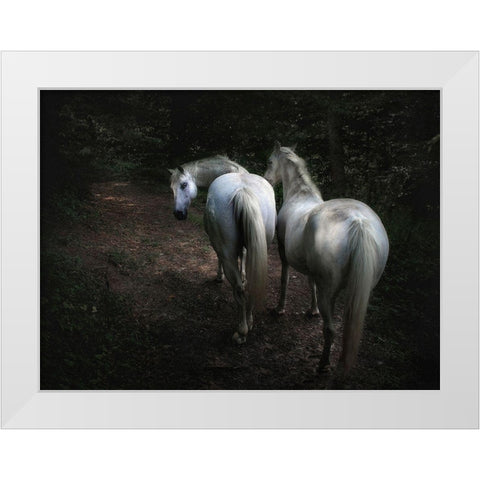 Come White Modern Wood Framed Art Print by Droste, Holger
