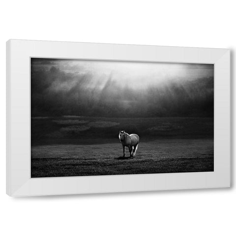 Morning Appearance White Modern Wood Framed Art Print by Svoboda MQEP, Peter