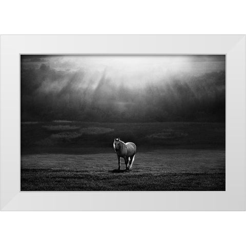 Morning Appearance White Modern Wood Framed Art Print by Svoboda MQEP, Peter