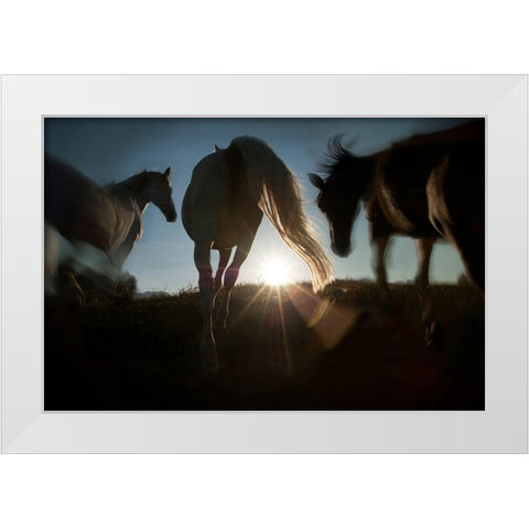 Sunrise White Modern Wood Framed Art Print by Malovrh, Milan