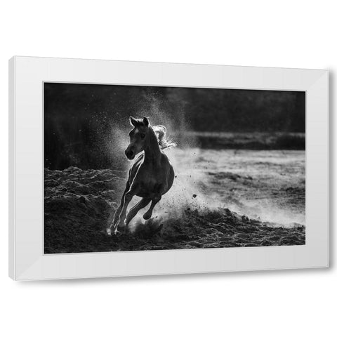 Take off White Modern Wood Framed Art Print by Alnaser, Mohammed
