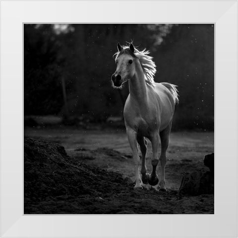 Coquetry White Modern Wood Framed Art Print by Al-Saeed, Abdullah