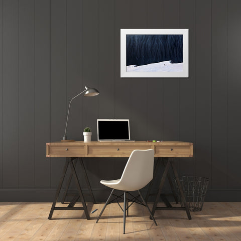 Deep In Canyon White Modern Wood Framed Art Print by Yang, BJ