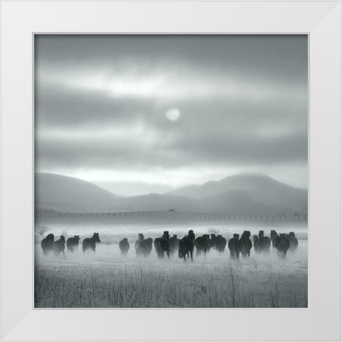 Toward the Sun White Modern Wood Framed Art Print by Yang, Shu-Guang