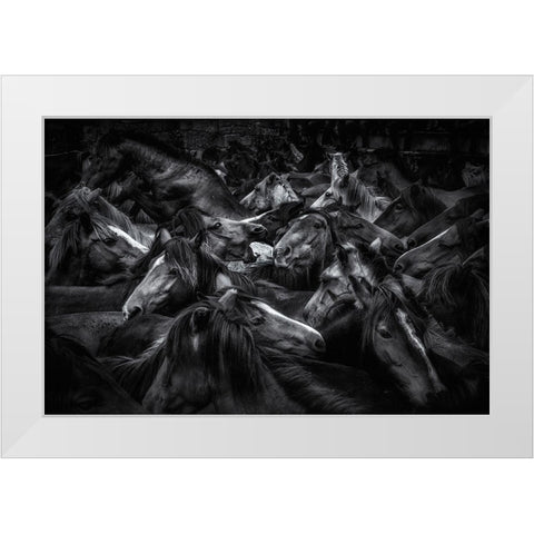 Acorralados White Modern Wood Framed Art Print by Maseda Varela, Alfonso