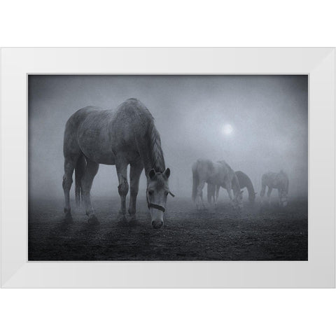 Moonlit White Modern Wood Framed Art Print by Malach, Samuel