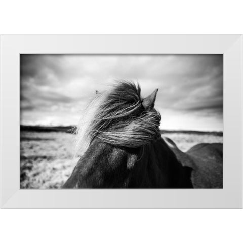 Iceland White Modern Wood Framed Art Print by Liesbeth