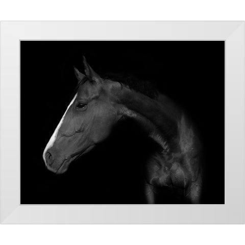 My horse White Modern Wood Framed Art Print by Kogel, Wieteke de