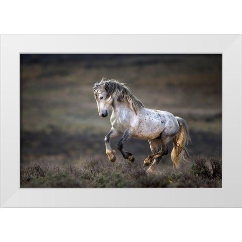 Wild Wild West White Modern Wood Framed Art Print by Verdon
