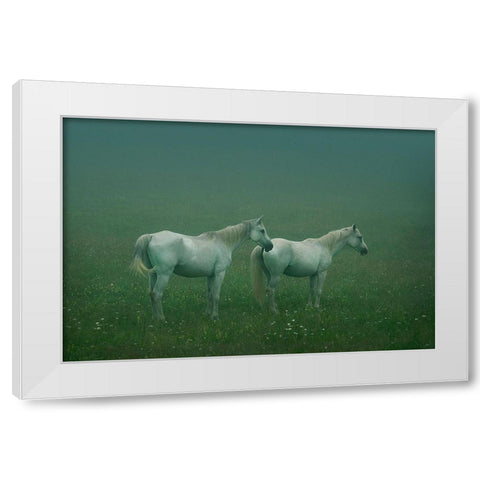 In the silent field White Modern Wood Framed Art Print by Khemkum, Ekkachai