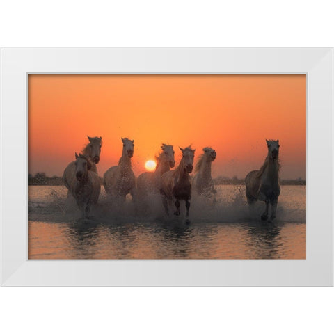 Sunset in Camargue White Modern Wood Framed Art Print by Anton, Rostovskiy