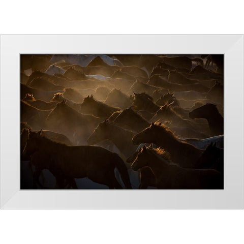 The Herd White Modern Wood Framed Art Print by Sahin, Ramiz