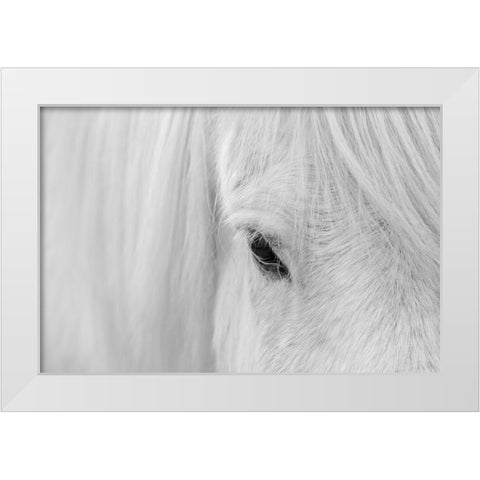 Whisper of Iceland White Modern Wood Framed Art Print by Fan, John