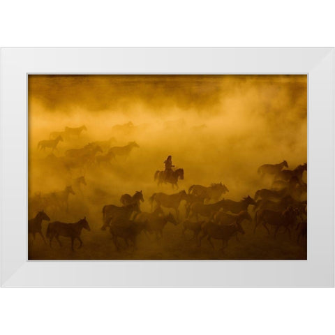 Horses White Modern Wood Framed Art Print by Nisan Kandilcioglu, Ummu