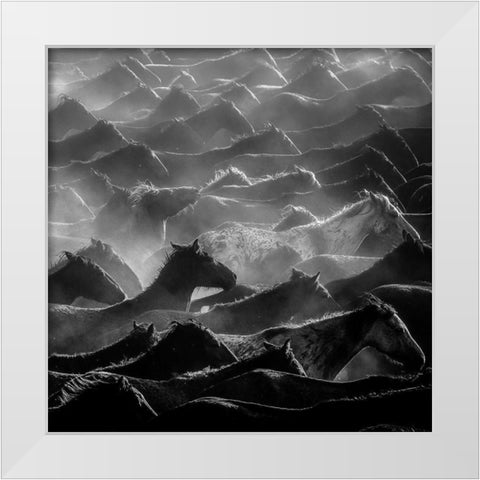 Horses White Modern Wood Framed Art Print by Nisan Kandilcioglu, Ummu