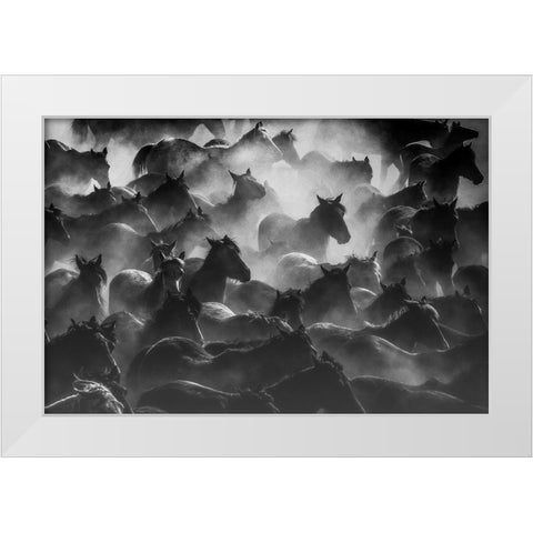 Horses 2 White Modern Wood Framed Art Print by Nisan Kandilcioglu, Ummu