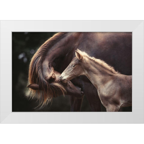 The Bond White Modern Wood Framed Art Print by Willers, Heike