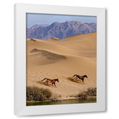 Salvation White Modern Wood Framed Art Print by Fazaeli, Davoud