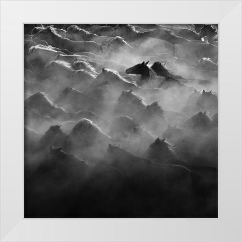 Leader White Modern Wood Framed Art Print by Zheng, Na Anna