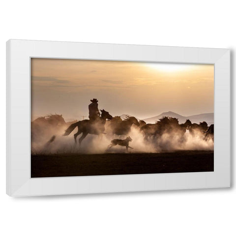 Noble Horses White Modern Wood Framed Art Print by Atabek, ismail