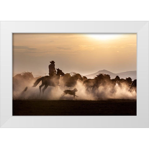 Noble Horses White Modern Wood Framed Art Print by Atabek, ismail