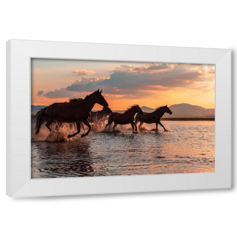 Water Horses White Modern Wood Framed Art Print by Tekdogan, Barkan