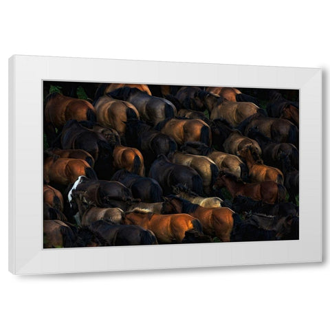 Wild horses White Modern Wood Framed Art Print by Szuszkiewicz, Konrad