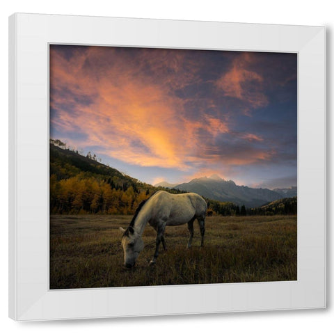 The Paradise White Modern Wood Framed Art Print by Fan, John