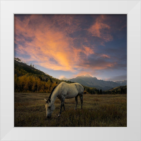 The Paradise White Modern Wood Framed Art Print by Fan, John