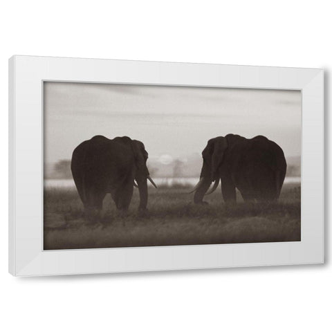 African Elephants at sunrise-Amboseli National Reserve-Kenya Sepia White Modern Wood Framed Art Print by Fitzharris, Tim
