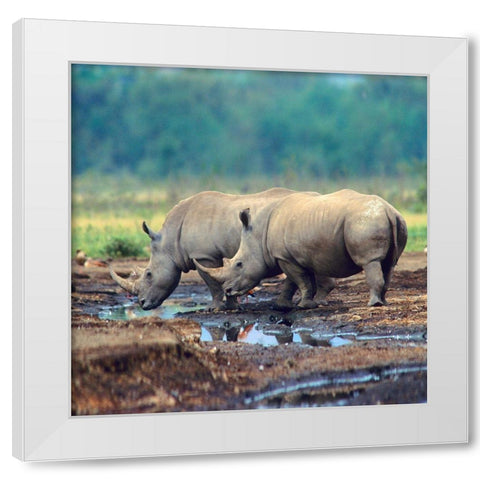 White Rhinoceros-Kenya White Modern Wood Framed Art Print by Fitzharris, Tim