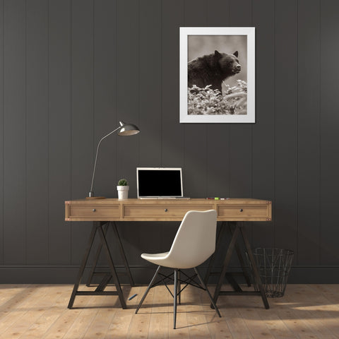 Black bear Sepia White Modern Wood Framed Art Print by Fitzharris, Tim
