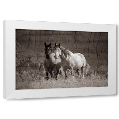 Wild horses Badlands Natl Park SD Sepia White Modern Wood Framed Art Print by Fitzharris, Tim