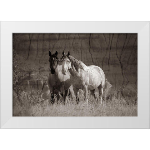 Wild horses Badlands Natl Park SD Sepia White Modern Wood Framed Art Print by Fitzharris, Tim