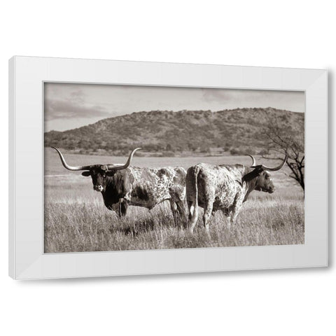 Longhorn cattle Sepia White Modern Wood Framed Art Print by Fitzharris, Tim