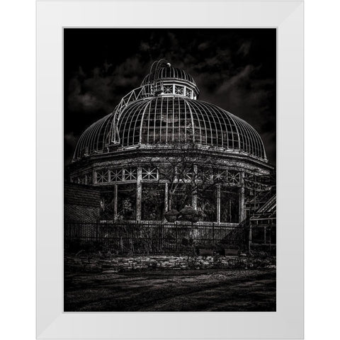 Allan Gardens Conservatory Toronto Black and White White Modern Wood Framed Art Print by Carson, Brian