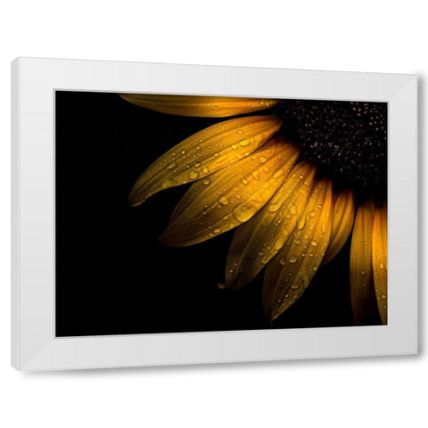 Backyard Flowers Yellow 28 White Modern Wood Framed Art Print by Carson, Brian