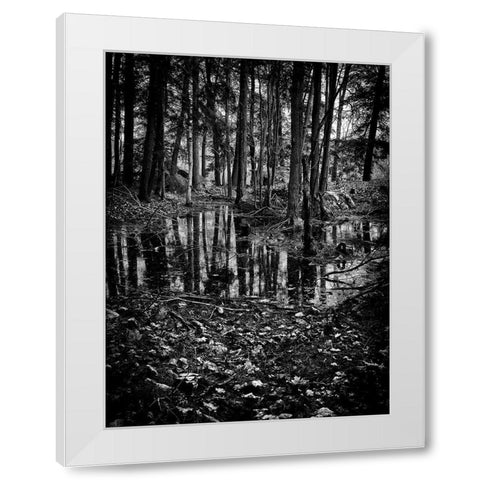 Gullwing Lake No 5 White Modern Wood Framed Art Print by Carson, Brian