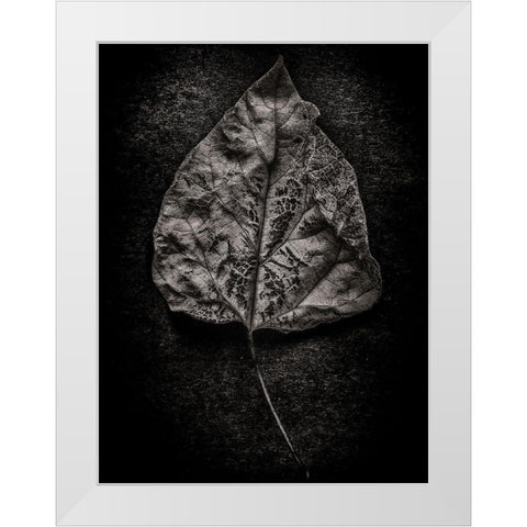 Leaves No 1 Black and White White Modern Wood Framed Art Print by Carson, Brian