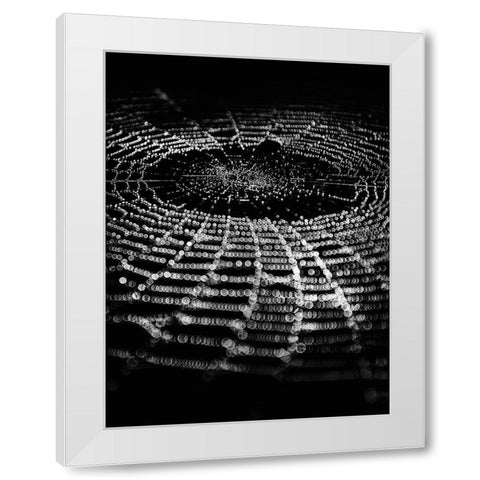 Spiderweb No 1 White Modern Wood Framed Art Print by Carson, Brian