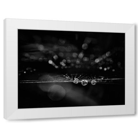 Spiderweb No 2 White Modern Wood Framed Art Print by Carson, Brian
