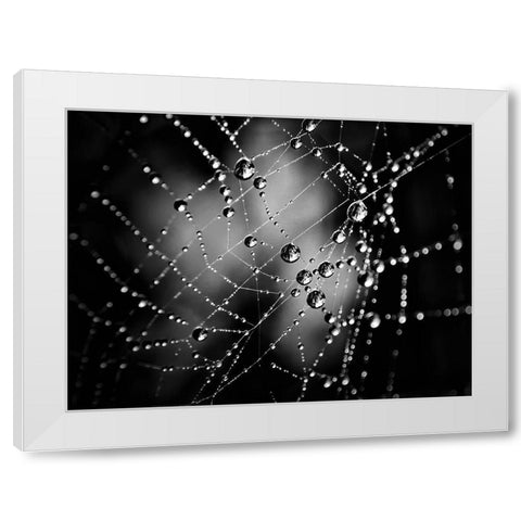 Spiderweb No 3 White Modern Wood Framed Art Print by Carson, Brian
